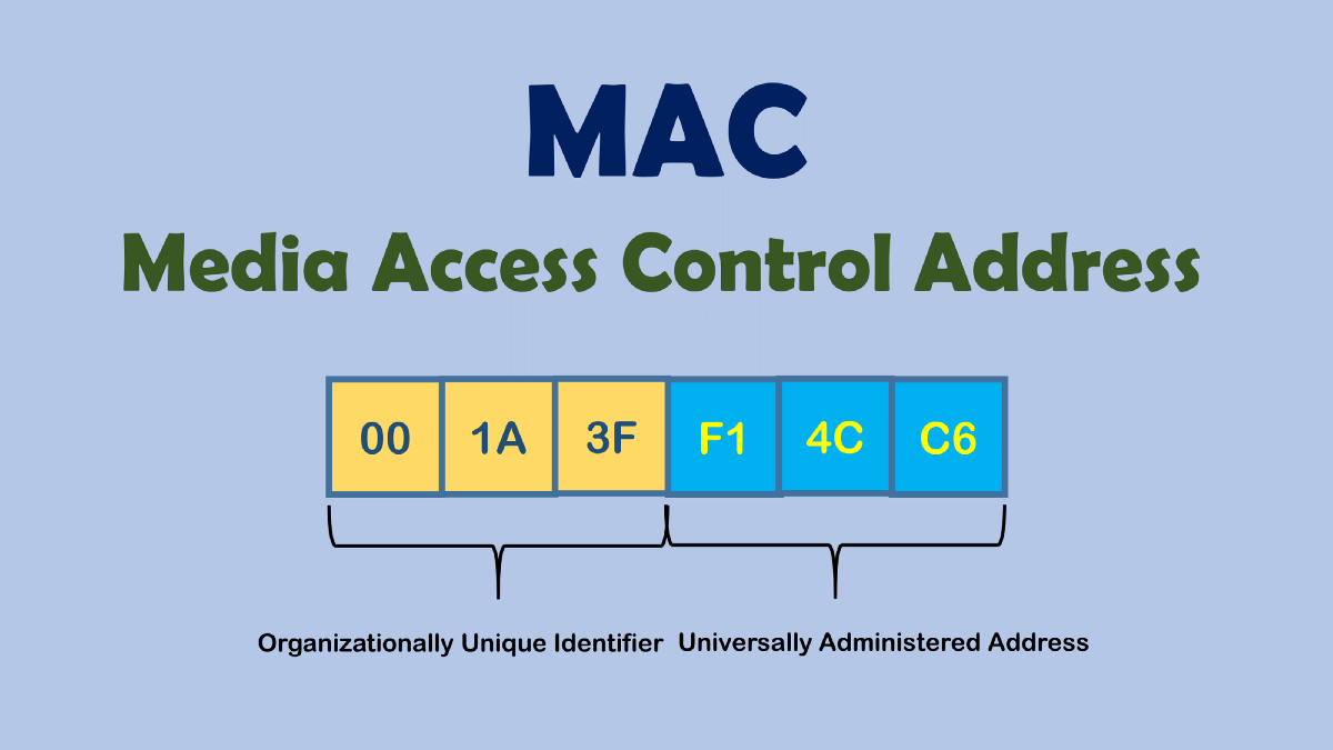 How to Your MAC Address on - Networked