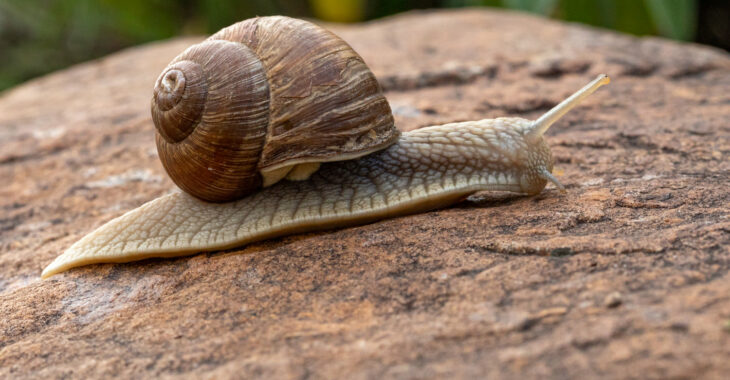 11 Reasons Why Your Ethernet Is Slower Than Your WiFi