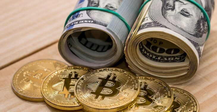 Crypto Vs Fiat: Which Is Best For Security And Privacy